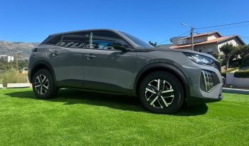 peugeot 2008 completo