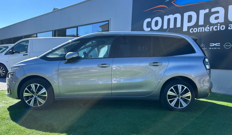 citroen  c4 spacetourer completo